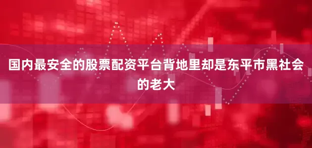 国内最安全的股票配资平台背地里却是东平市黑社会的老大