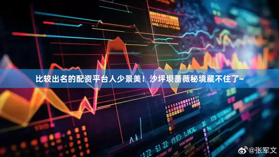 比较出名的配资平台人少景美！沙坪坝蔷薇秘境藏不住了~