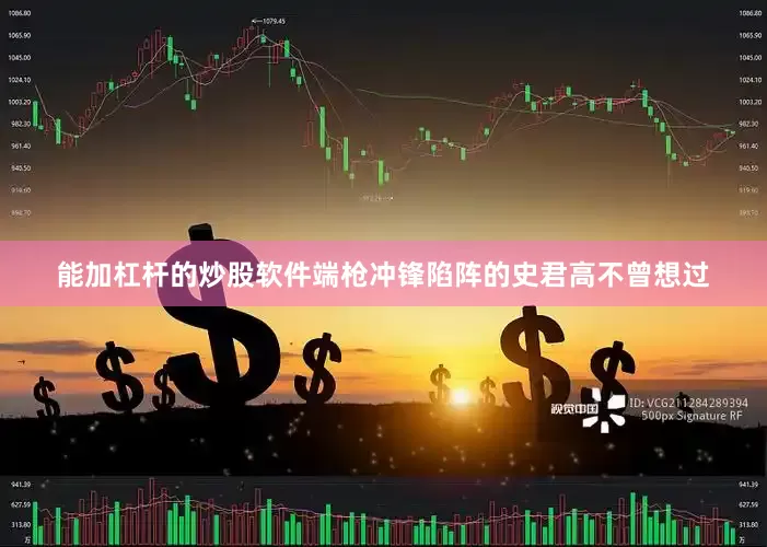 能加杠杆的炒股软件端枪冲锋陷阵的史君高不曾想过