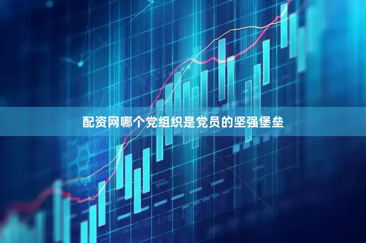 配资网哪个党组织是党员的坚强堡垒