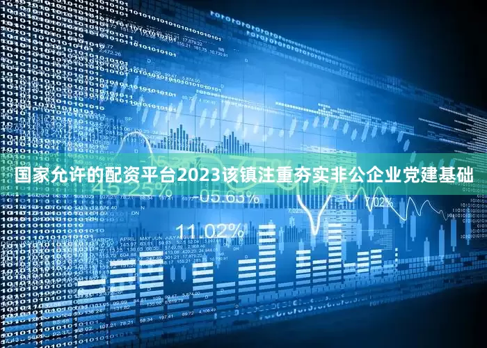 国家允许的配资平台2023该镇注重夯实非公企业党建基础