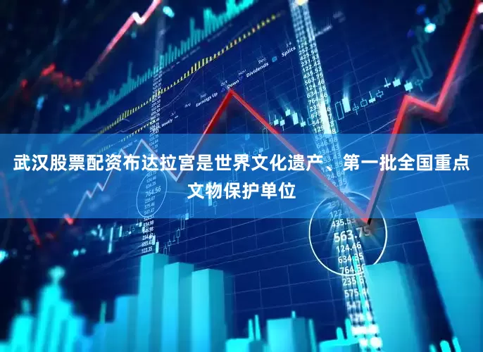 武汉股票配资布达拉宫是世界文化遗产、第一批全国重点文物保护单位