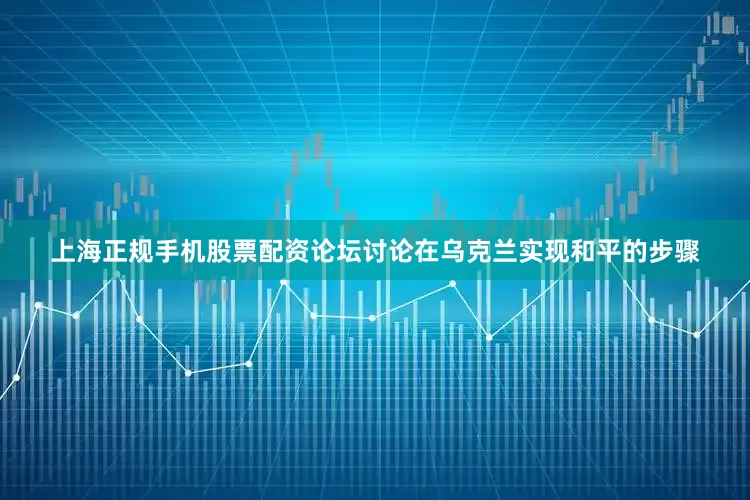 上海正规手机股票配资论坛讨论在乌克兰实现和平的步骤