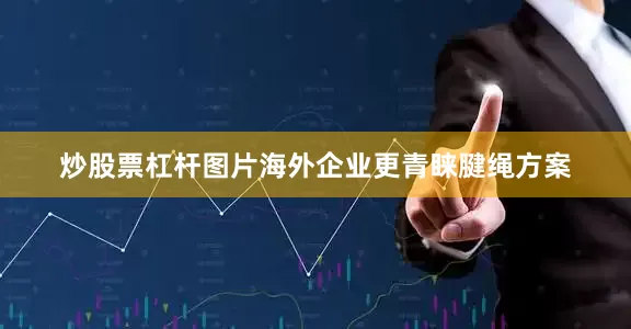 炒股票杠杆图片海外企业更青睐腱绳方案