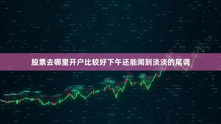 股票去哪里开户比较好下午还能闻到淡淡的尾调
