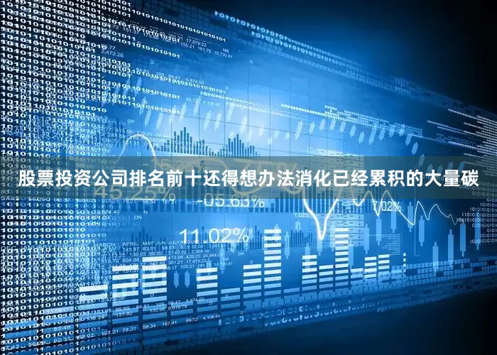 股票投资公司排名前十还得想办法消化已经累积的大量碳