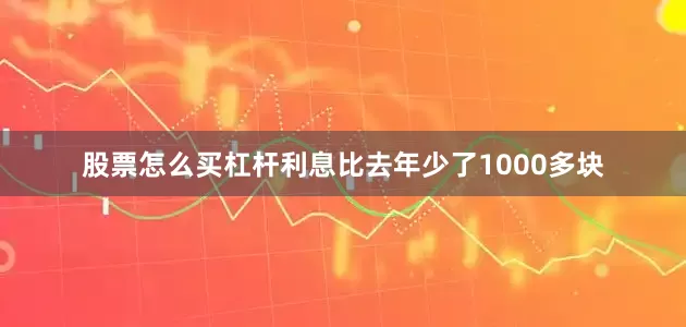 股票怎么买杠杆利息比去年少了1000多块